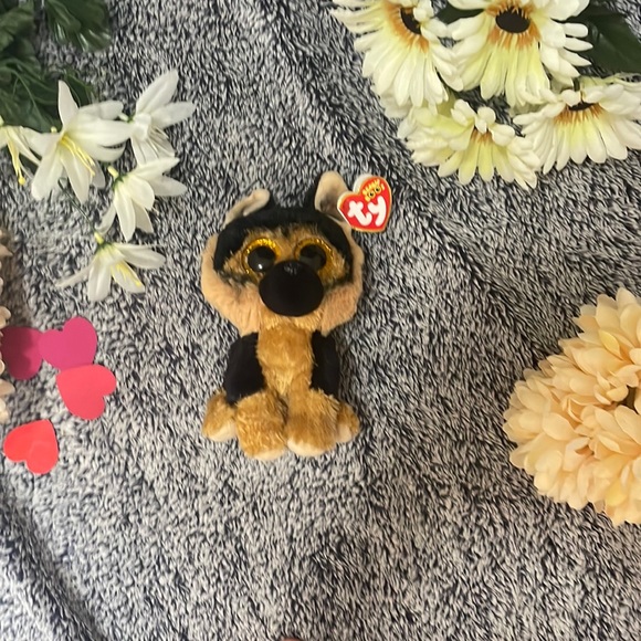 This is a beanie boo! she’s a small little dog that loves to play! - Picture 1 of 6